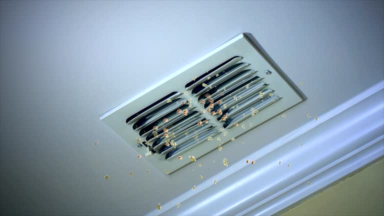 Best Professional Duct Cleaning Services  in Saginaw, TX